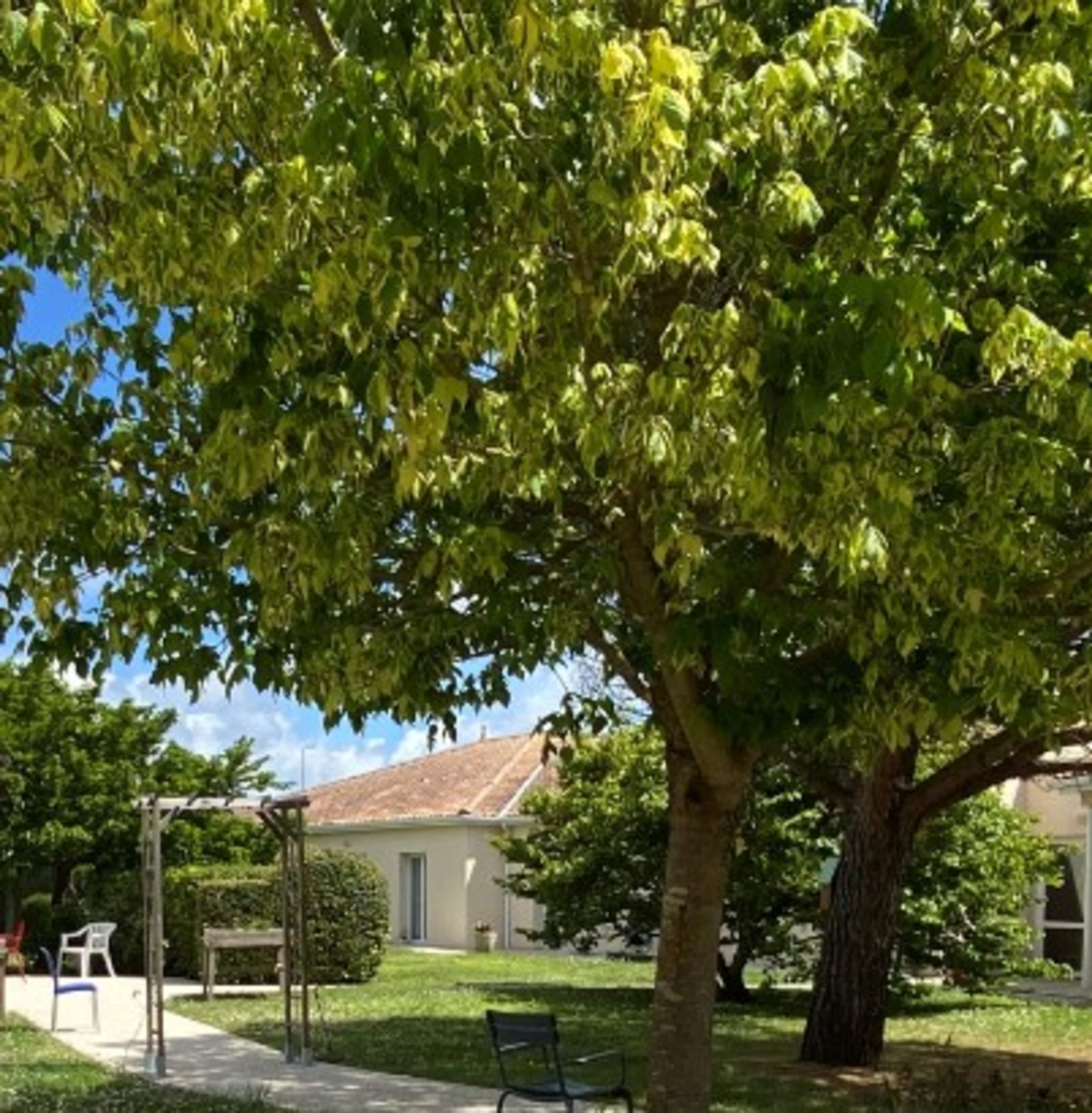 Programme immobilier neuf à Saint-Sulpice-de-Royan