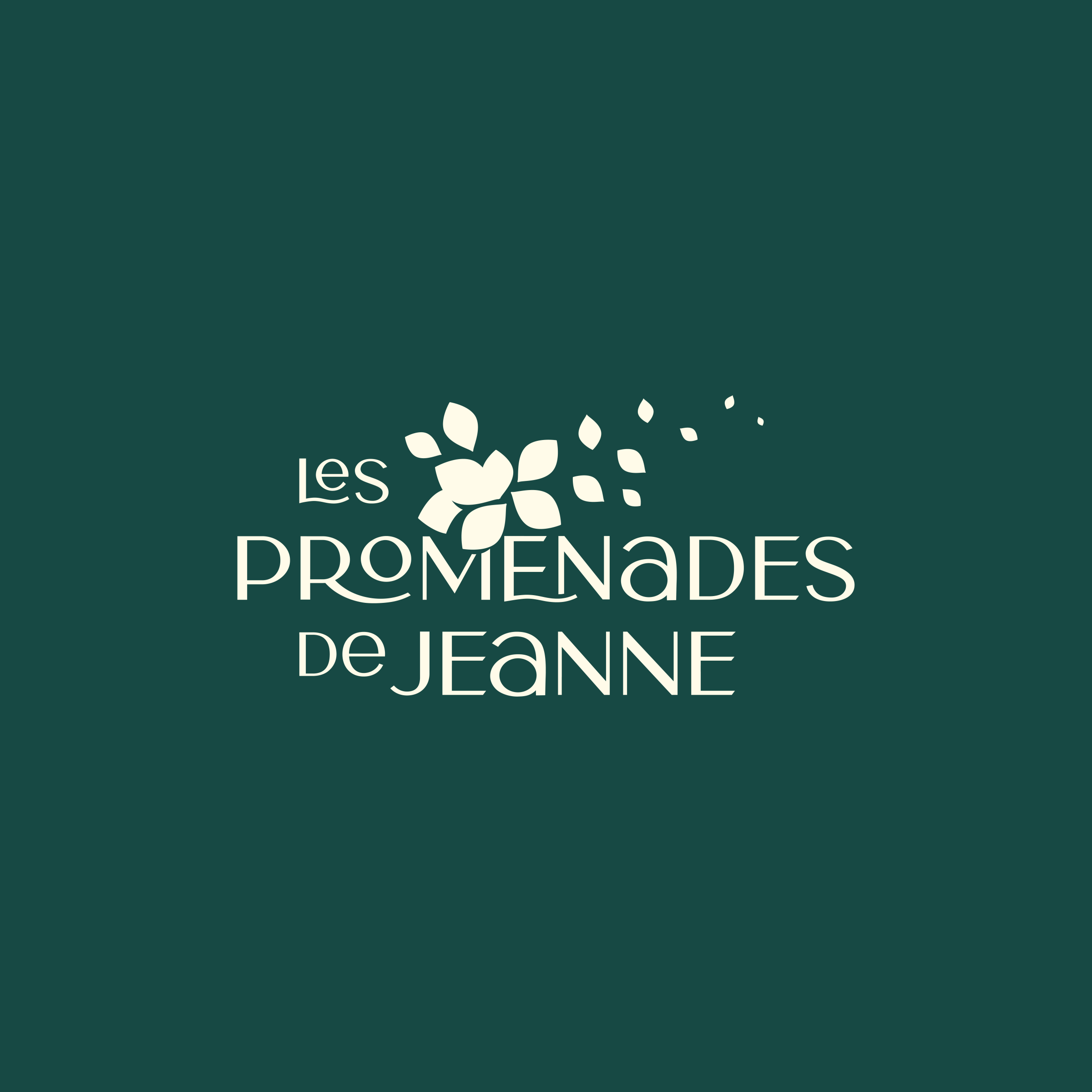 Programme immobilier neuf à Ifs